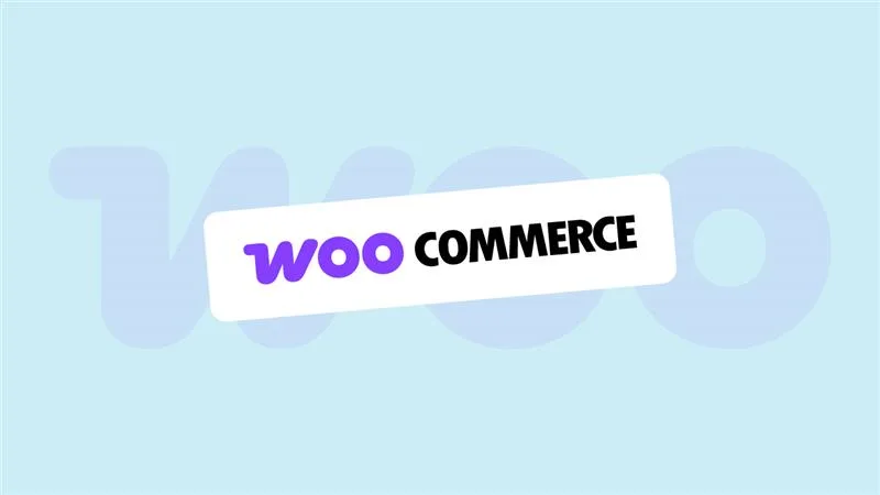 图片[3]-独立站搭建价格-星点跨境