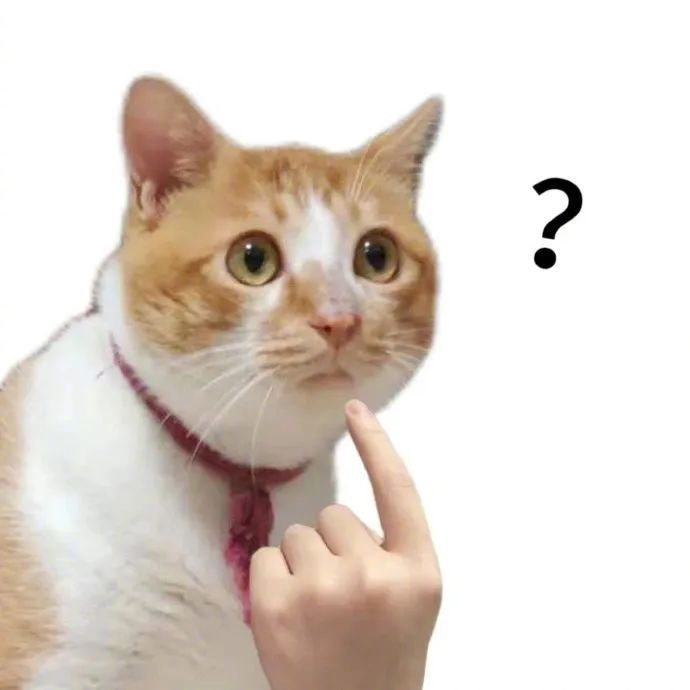 图片[5]-独立站搭建价格-星点跨境